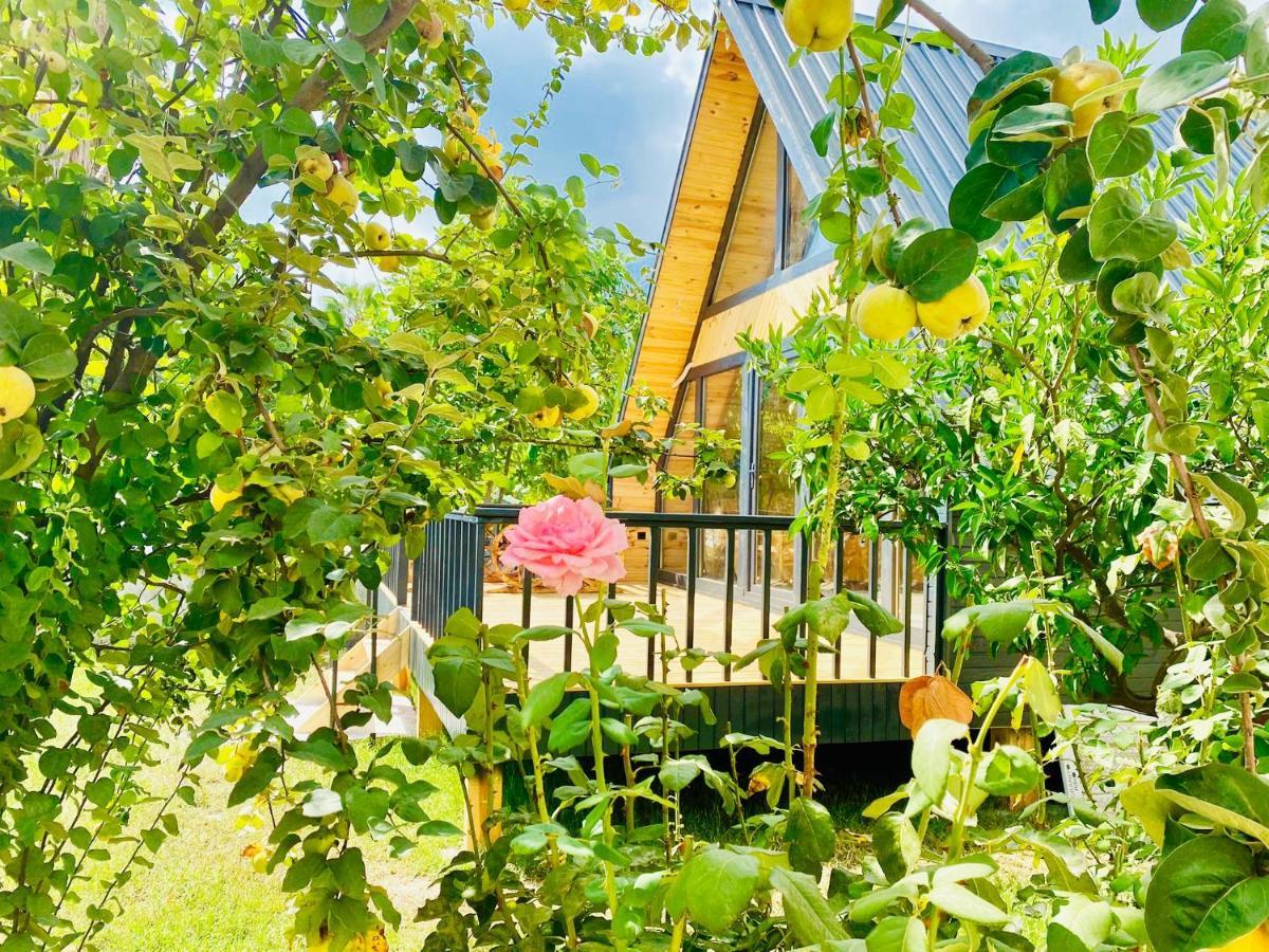 Garden Bungalow Antalya Bagian luar foto